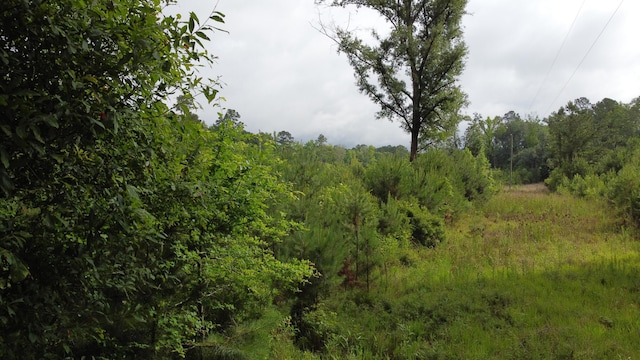 126 Batten Way, Ridgeville, SC 29472