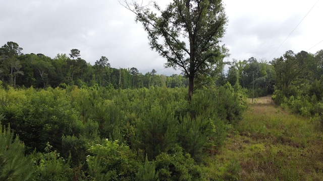 126 Batten Way, Ridgeville, SC 29472