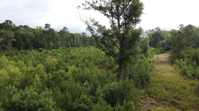 126 Batten Way, Ridgeville, SC 29472