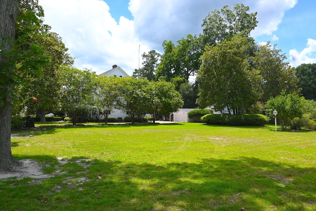 view of yard