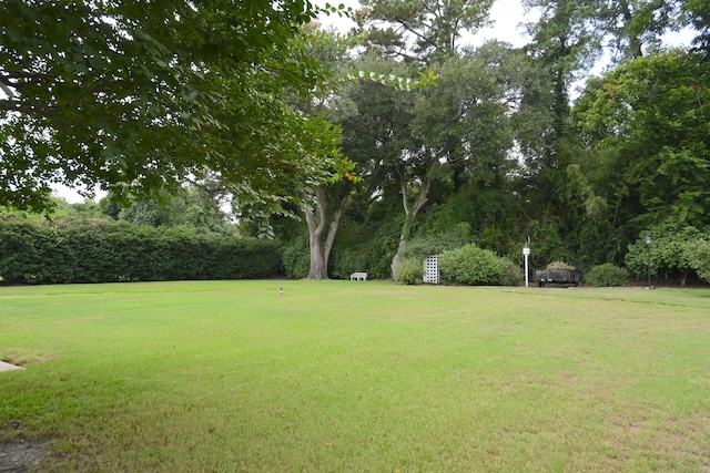 view of yard