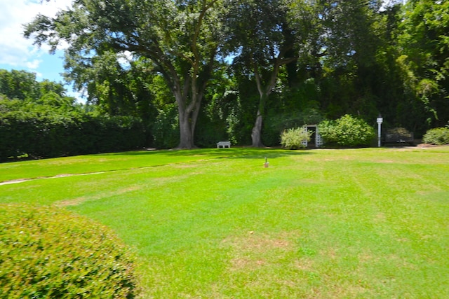 view of yard