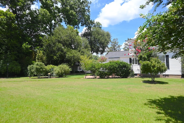 view of yard