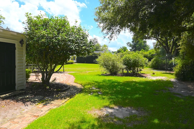 view of yard