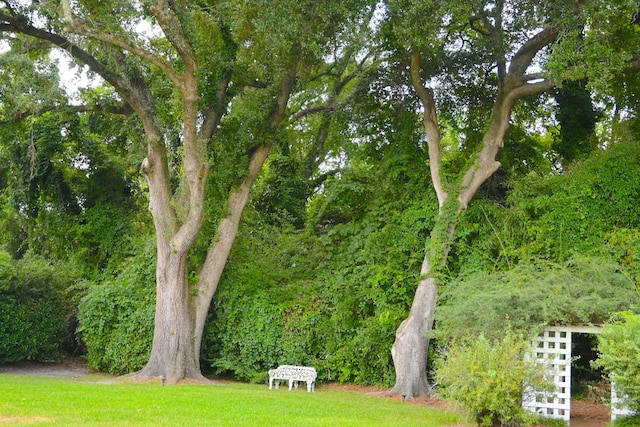 view of property's community featuring a lawn