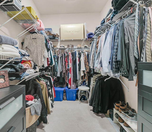 walk in closet featuring carpet flooring