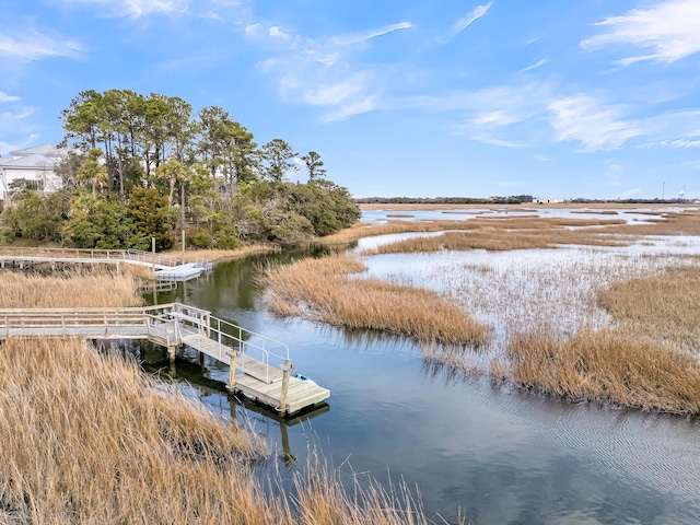 dock area with a water view