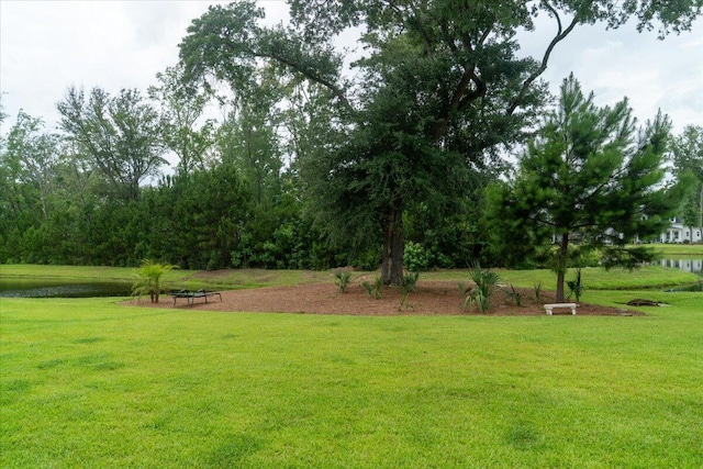 2408 Bent Oak Rd, Mount Pleasant, SC 29466 - view of grassy yard