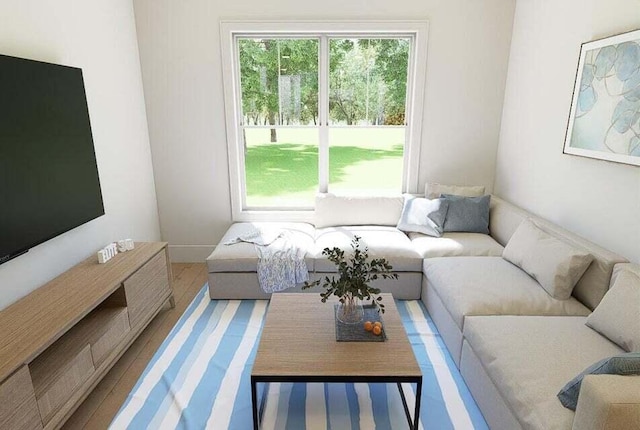 living room featuring hardwood / wood-style flooring