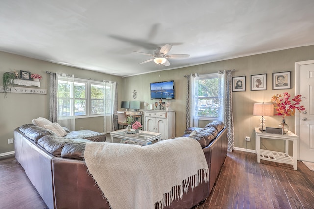 living room with ceiling fan and dark wood-type flooring