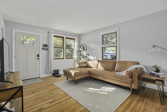 living room with a healthy amount of sunlight and light wood-type flooring