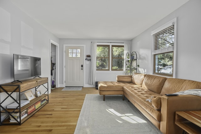 living room featuring light hardwood / wood-style floors