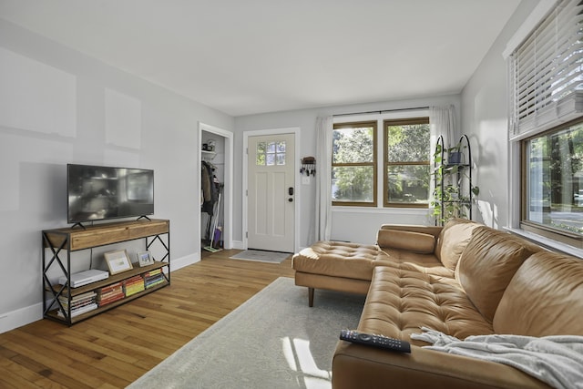 living room featuring a healthy amount of sunlight and hardwood / wood-style floors