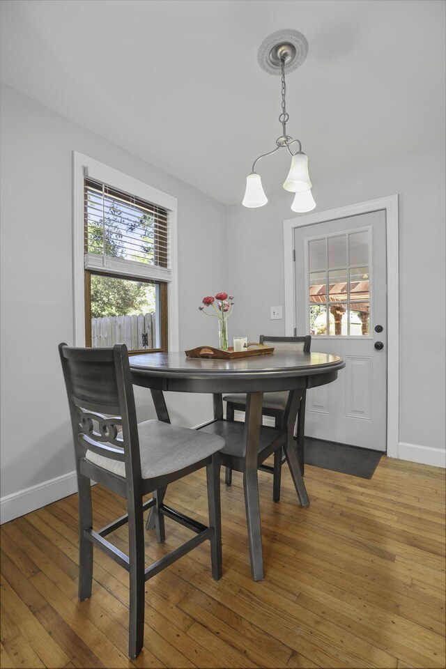 dining room with hardwood / wood-style floors and a chandelier