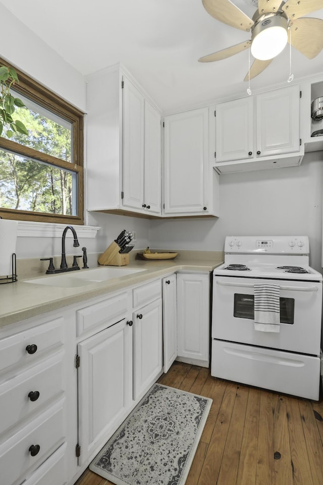 kitchen with sink, white electric stove, ceiling fan, hardwood / wood-style floors, and white cabinets