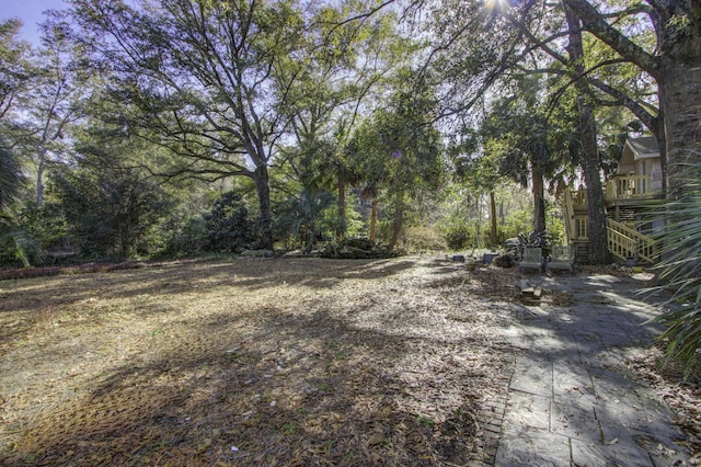 6094 Chisolm Rd, Johns Island, SC 29455 - view of yard