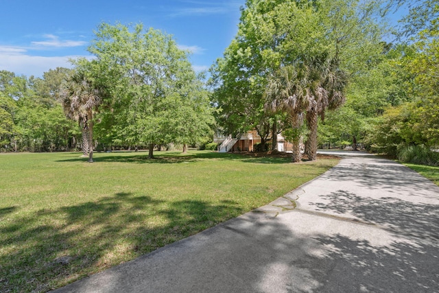 view of grassy yard