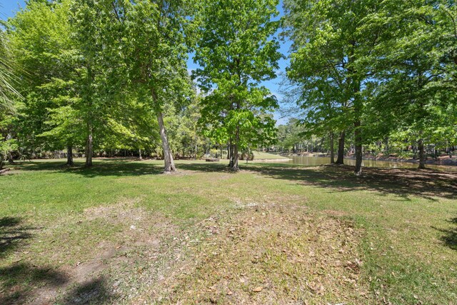 view of green lawn