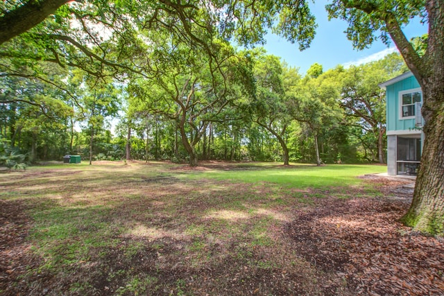 16 Oakwood Ln, Edisto Island, SC 29438 - view of grassy yard