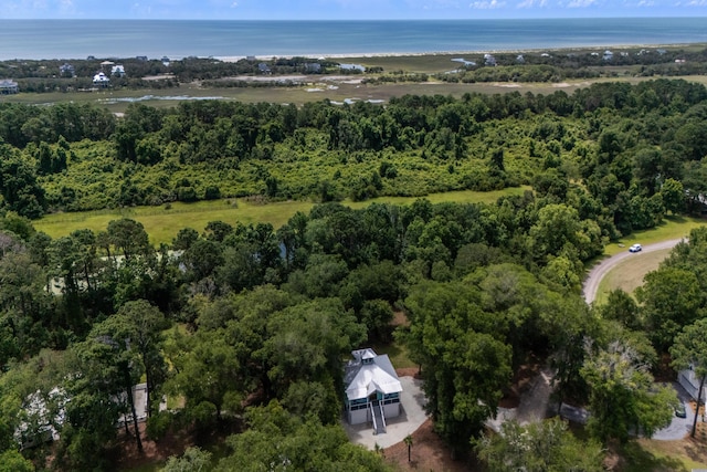16 Oakwood Ln, Edisto Island, SC 29438 - aerial view of property and surrounding area featuring a forest