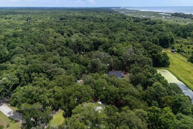16 Oakwood Ln, Edisto Island, SC 29438 - aerial overview of property's location with a heavily wooded area