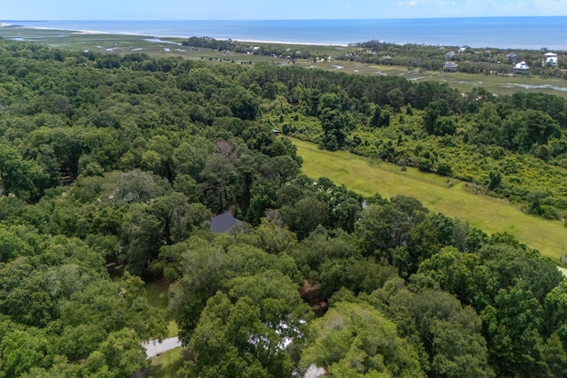 16 Oakwood Ln, Edisto Island, SC 29438 - view of property location with a heavily wooded area and a large body of water