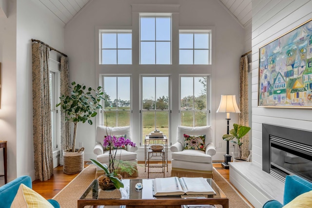 living room featuring wood-type flooring and high vaulted ceiling