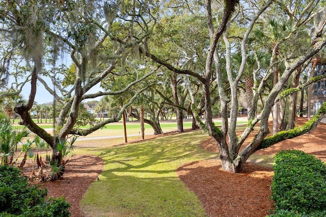 view of home's community featuring a lawn