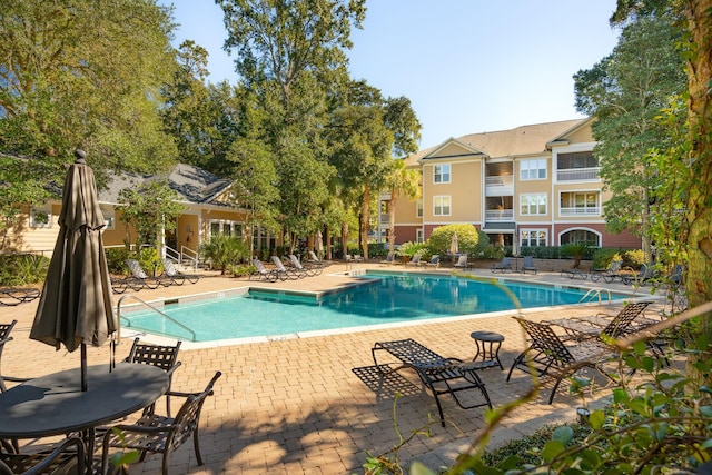 view of pool featuring a patio