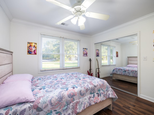 bedroom with ceiling fan, a closet, dark wood-type flooring, and multiple windows