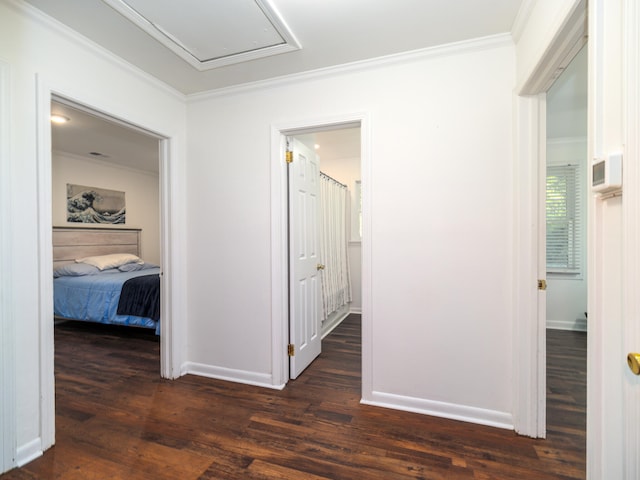 hallway featuring ornamental molding and dark hardwood / wood-style flooring