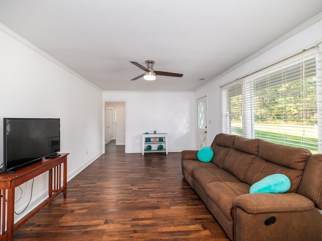 living room with ornamental molding, dark hardwood / wood-style floors, and ceiling fan