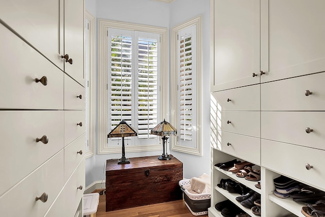 interior space with hardwood / wood-style flooring