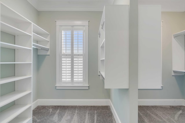 spacious closet with carpet flooring