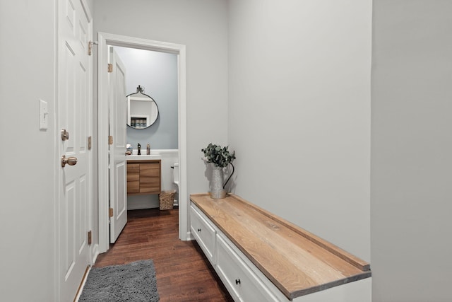 mudroom with sink and dark wood-type flooring