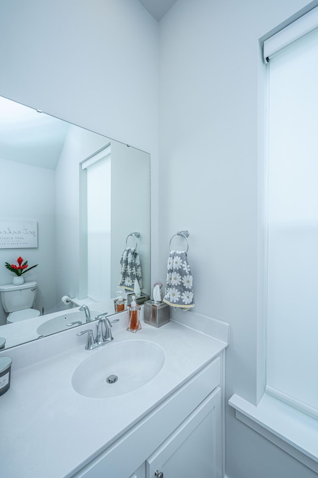 bathroom with toilet and vanity