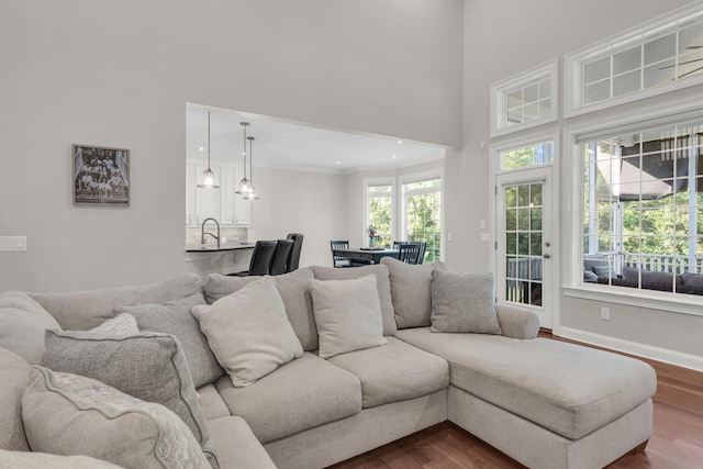 2720 Oak Manor Dr, Mount Pleasant, SC 29466 - living room with dark wood-type flooring, a towering ceiling, baseboards, ornamental molding, and recessed lighting
