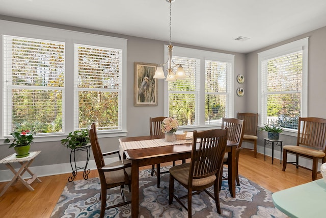 dining area with a wealth of natural light and hardwood / wood-style floors