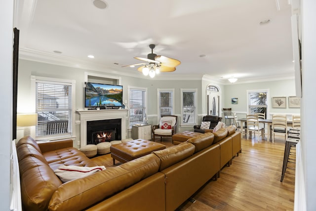 living room featuring ornamental molding, ceiling fan, and light wood-type flooring