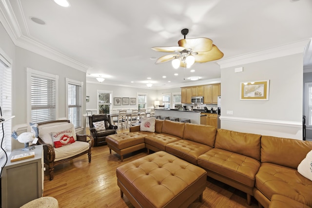 living room featuring crown molding, ceiling fan, and light wood-type flooring