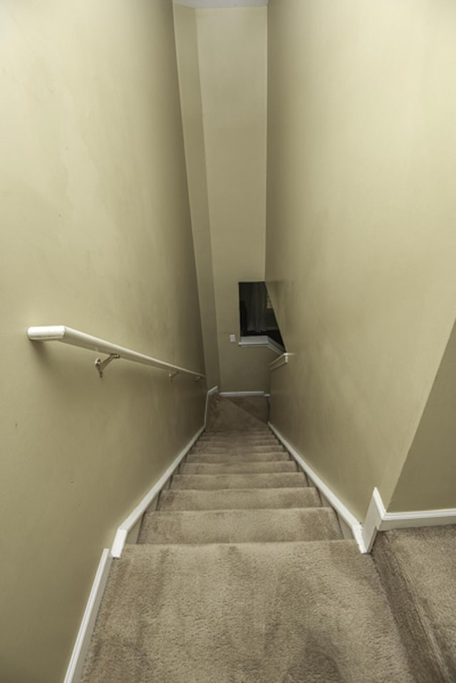 stairs featuring carpet floors