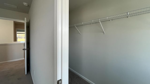 view of closet