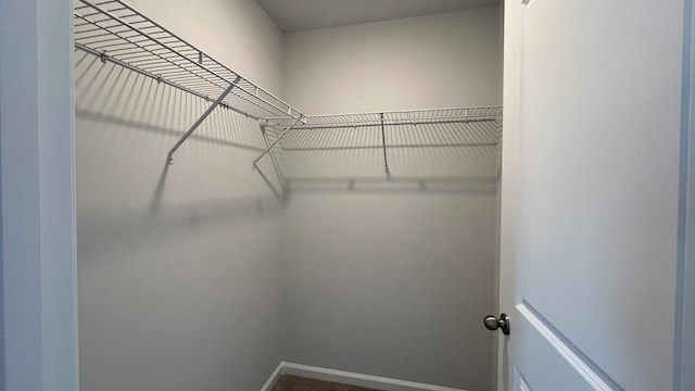 view of walk in closet