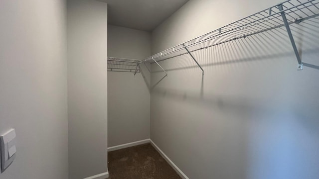 spacious closet with carpet