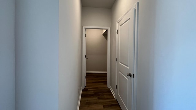 hallway with dark hardwood / wood-style floors