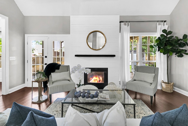 living room with a fireplace, plenty of natural light, and dark wood-type flooring