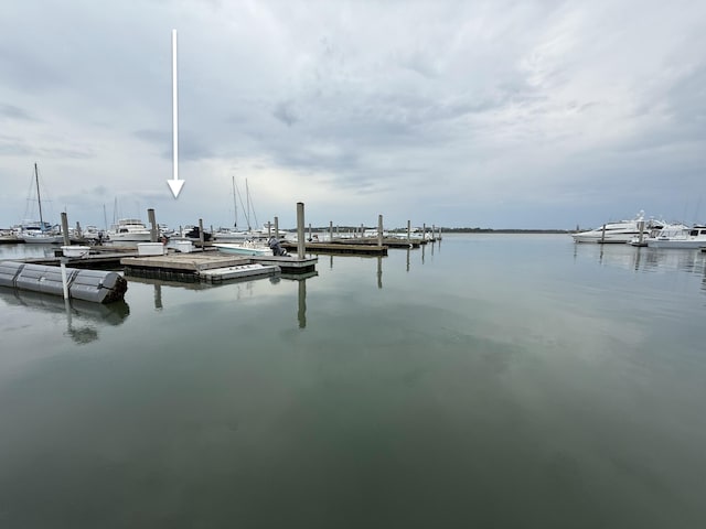 dock with a water view