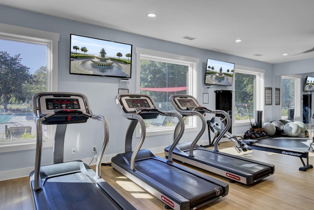 16 Oatly Cir, Charleston, SC 29414 - gym featuring plenty of natural light, wood finished floors, recessed lighting, and baseboards
