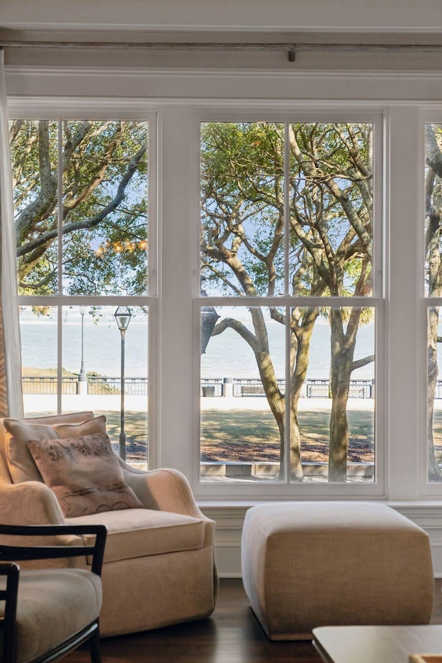 interior space featuring wood-type flooring and a water view