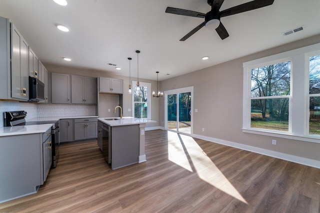 kitchen with gray cabinets, pendant lighting, an island with sink, sink, and black range with electric stovetop